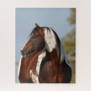 Puzzle Bob Langrish Tobiano Paint Horse Stallion en la ca