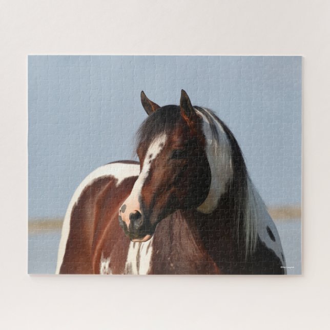 Puzzle Bob Langrish Tobiano Paint Horse Stallion Headshot (Horizontal)