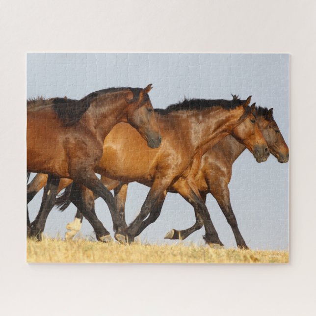 Puzzle Bob Langrish | Tres mareas andaluzas en marcha (Horizontal)