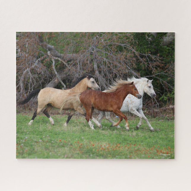 Puzzle Bob Langrish | Tres ponentes juntos (Horizontal)