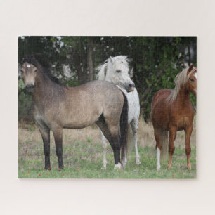 Puzzle Bob Langrish Tres ponentes juntos
