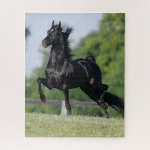 Puzzle Bob Langrish   Trote de caballos Black Morgan
