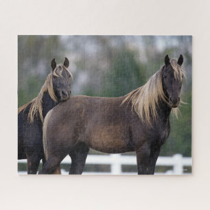 Puzzle Bob Langrish Two Rocky Mountain Horses Standing