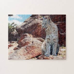 Puzzle Bobcat descansando entre las rocas en las montañas