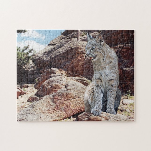 Puzzle Bobcat descansando entre las rocas en las montañas (Horizontal)
