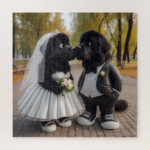 Boda newfs