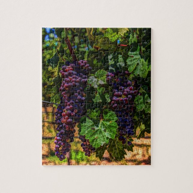 Puzzle Bodega Uvas de viñedos grapevine soleado toscano (Vertical)