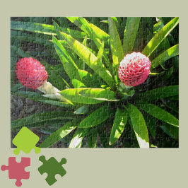 Puzzle Bok Gardens Florida Flor de Bromelida Tropical Ros