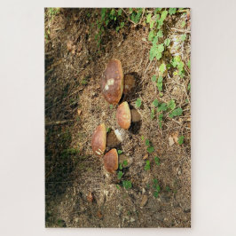 Puzzle boletus