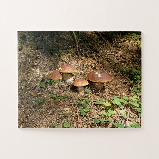 Puzzle boletus (Horizontal)