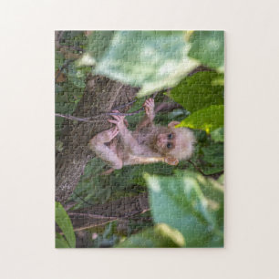 Puzzle Bonita macaca con barba