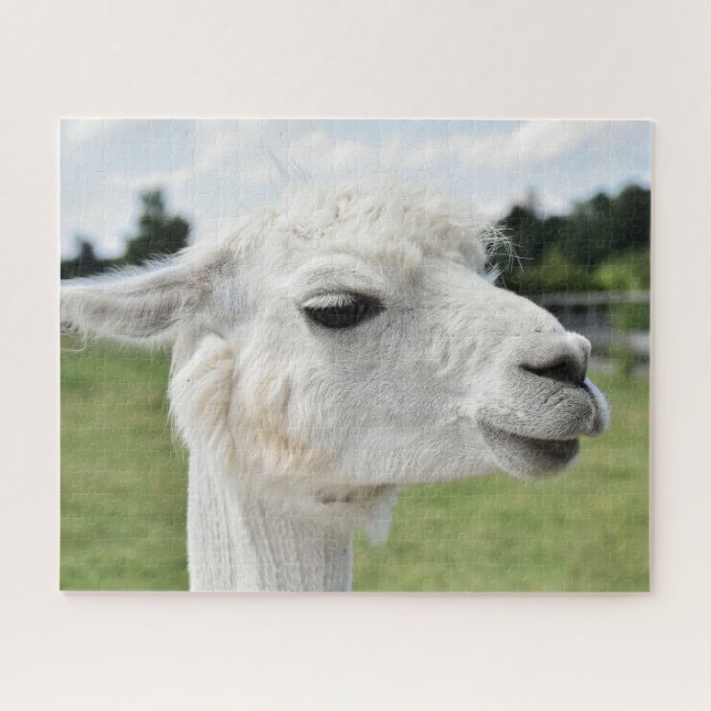 Puzzle Bonito Alpaca Llama (Horizontal)