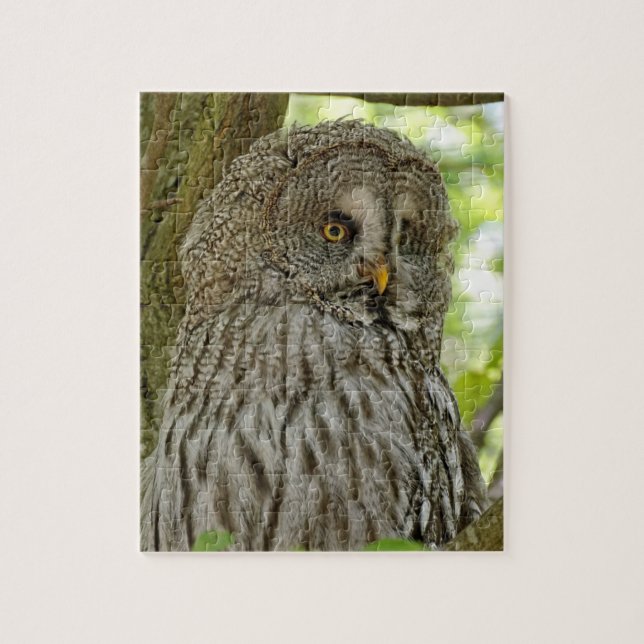 Puzzle Bonito Brown Owl (Vertical)