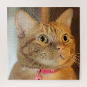 Puzzle Bonito Centavo