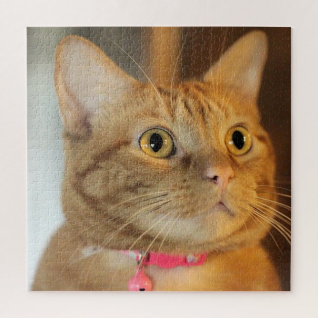 Puzzle Bonito Centavo (Vertical)