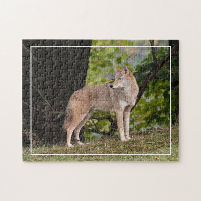 Puzzle Bonito Coyote (Horizontal)