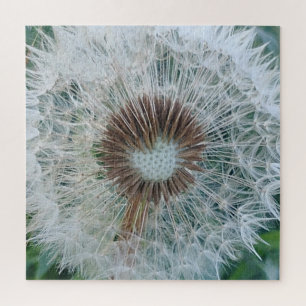 Puzzle Bonito Dandelion blanco