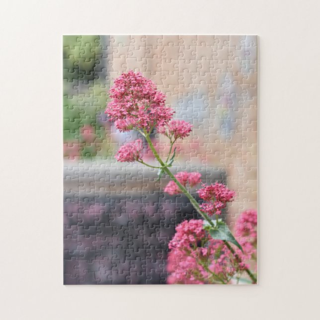 Puzzle Bonito Flores rosas, jardín inglés. Foto (Vertical)