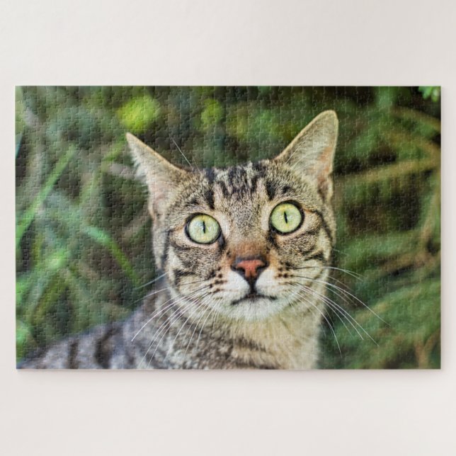 Puzzle Bonito gato tabby de ojos verdes cerca (Horizontal)
