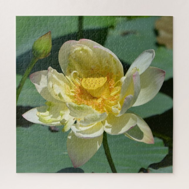 Puzzle Bonito Lotus Blossom (Vertical)