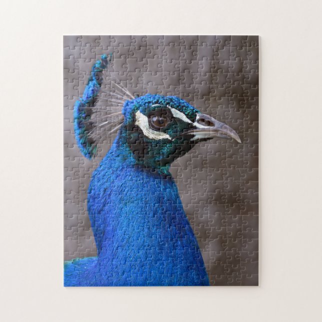 Puzzle Bonito pavo real (Vertical)