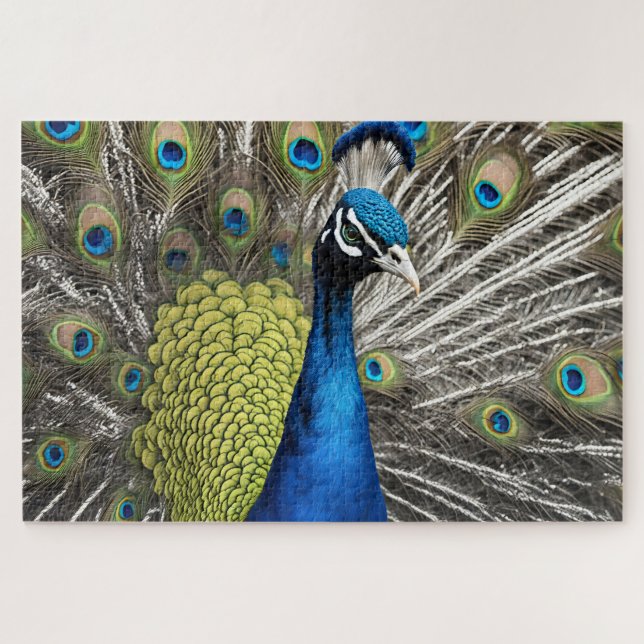 Puzzle Bonito Peacock (Horizontal)
