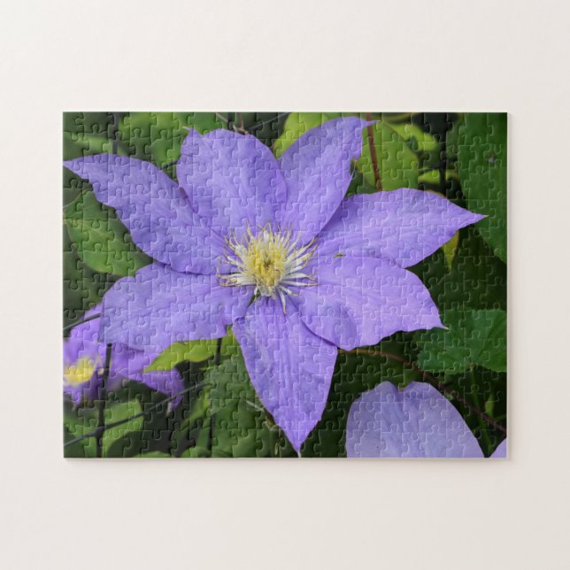 Puzzle Bonito Purple Clematis Blossom (Horizontal)