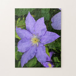 Puzzle Bonito Purple Clematis Blossom