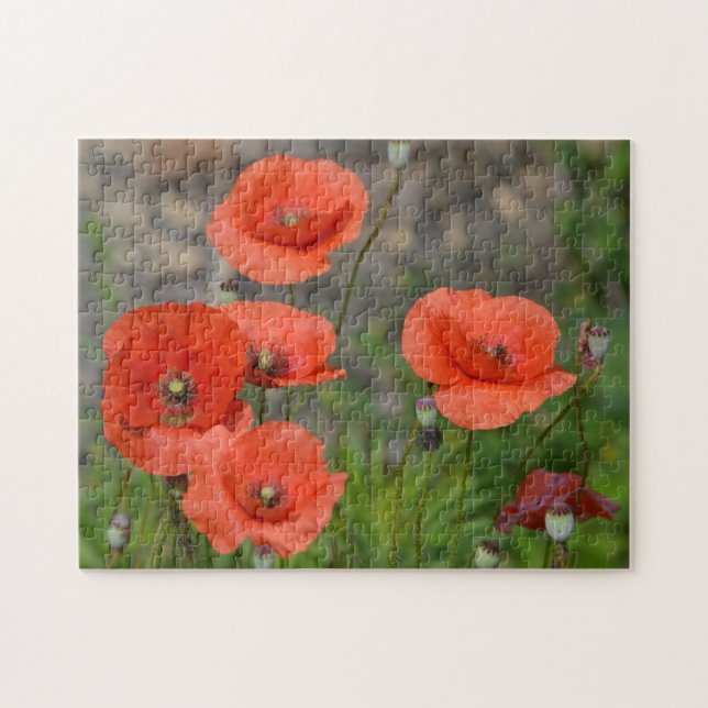 Puzzle Bonito Red Poppy (Horizontal)
