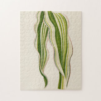 Puzzle Bonito regalo especial de jardinería para plantas