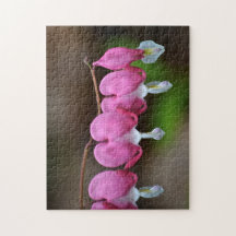 Bonito Sangrado Corazón