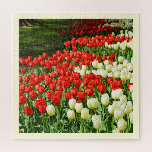 Puzzle Bonitos tulipanes