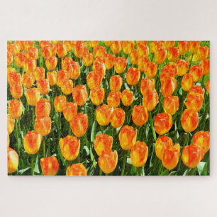 Puzzle Bonitos tulipanes
