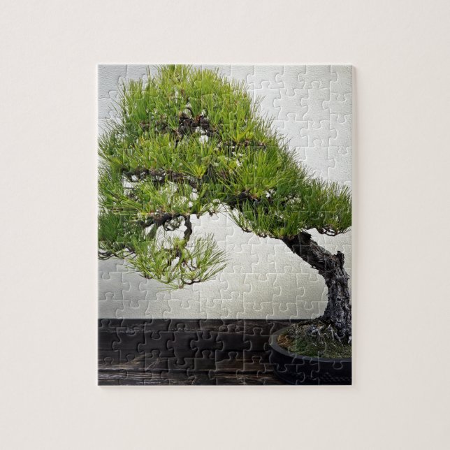 Puzzle Bonsais japoneses del pino negro (Vertical)