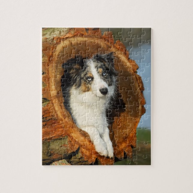 Puzzle Borde de Collie lindo perro (Vertical)
