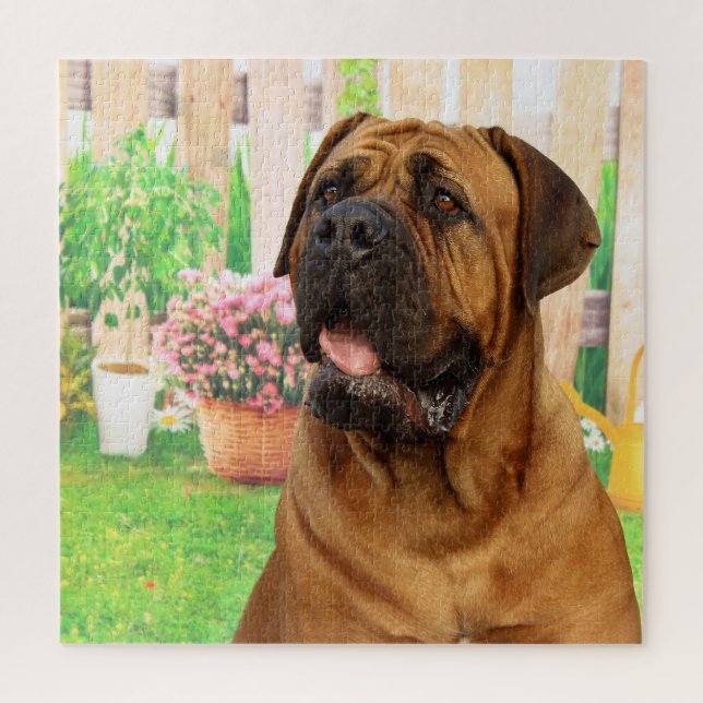 Puzzle Bordeaux Mastiff (Vertical)