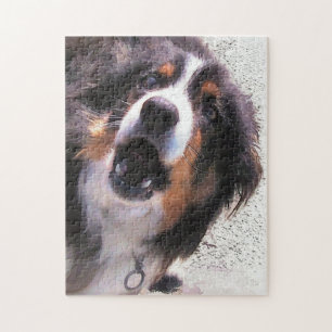 PUZZLE BORDER COLLIE