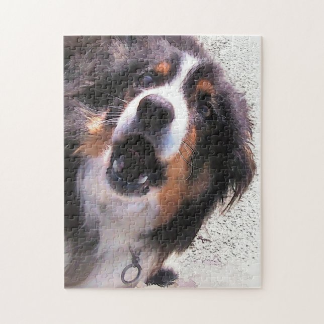 PUZZLE BORDER COLLIE (Vertical)