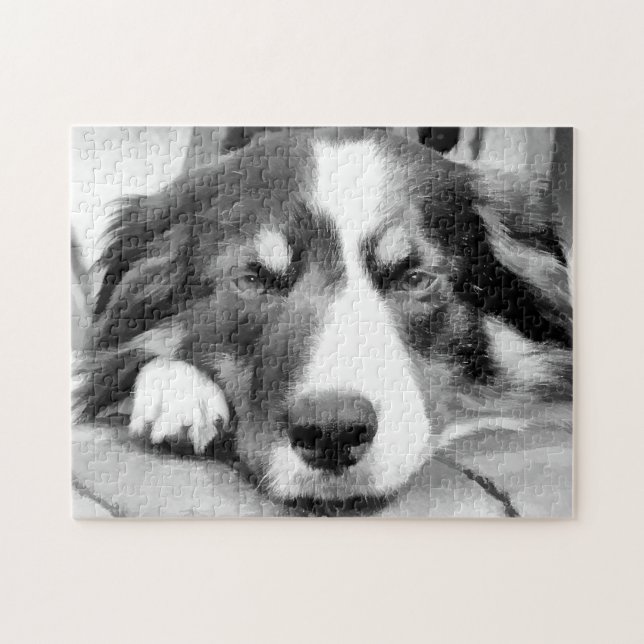 PUZZLE BORDER COLLIE (Horizontal)