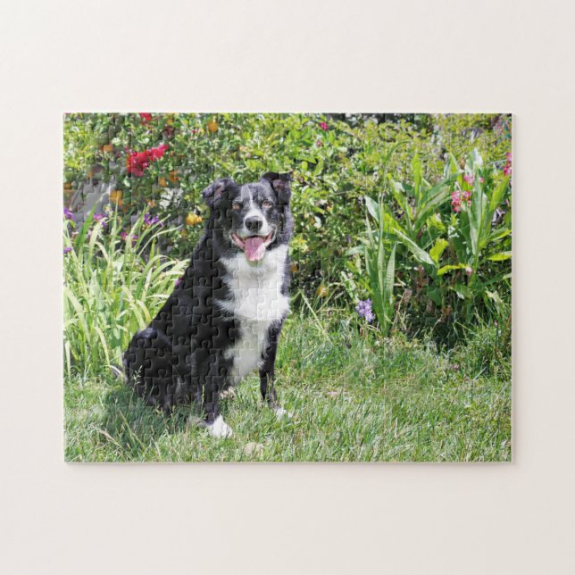 Puzzle Border collie - arroz - Pasten (Horizontal)