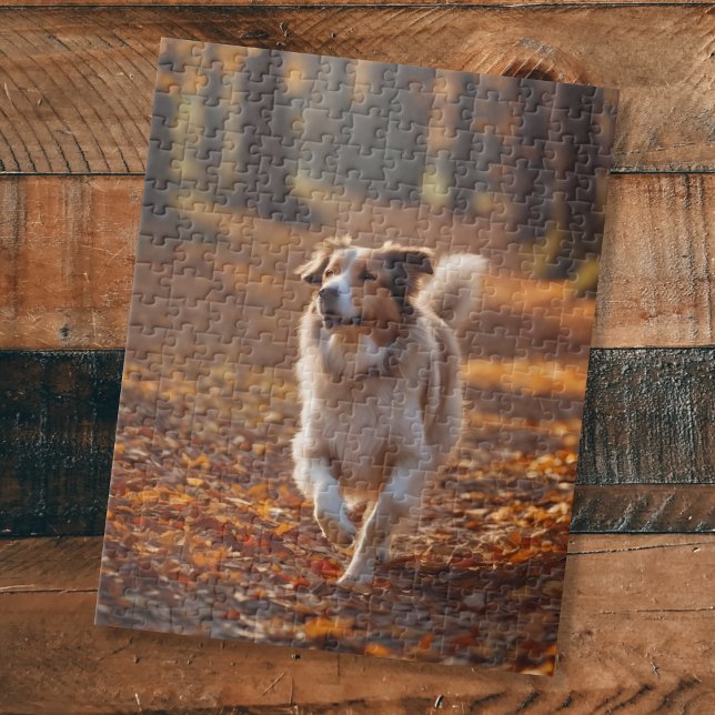 Puzzle Border Collie en el bosque (Subido por el creador)