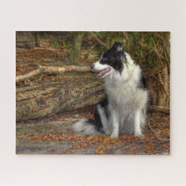 Puzzle Border Collie en el bosque (Horizontal)