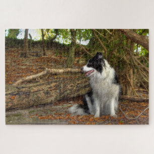 Puzzle Border Collie Grande