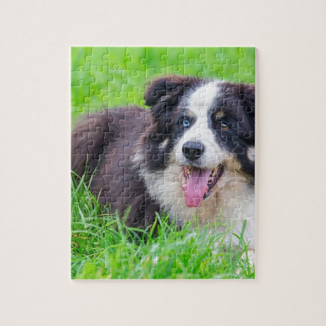 Puzzle Border collie impar del ojo que miente en (Vertical)
