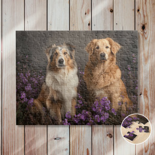 Puzzle Border collies
