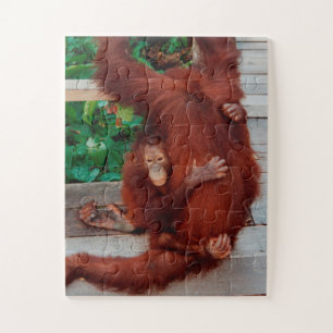 Puzzle Borneo orangutan 30-pc
