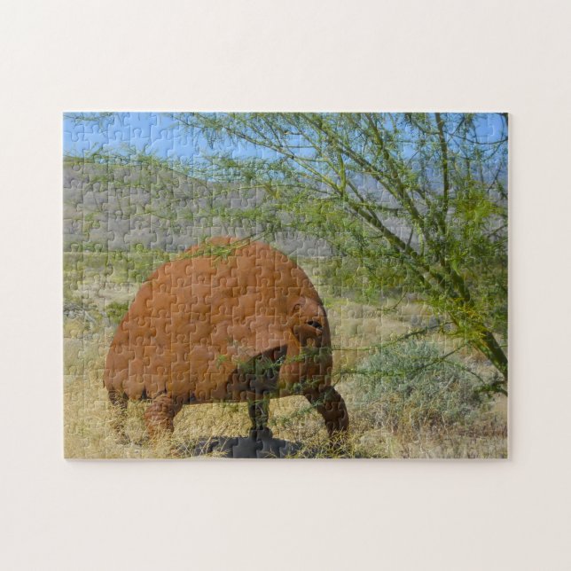 Puzzle Borrego Springs California. (Horizontal)