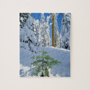 Puzzle Bosque cubierto de nieve en Oregón