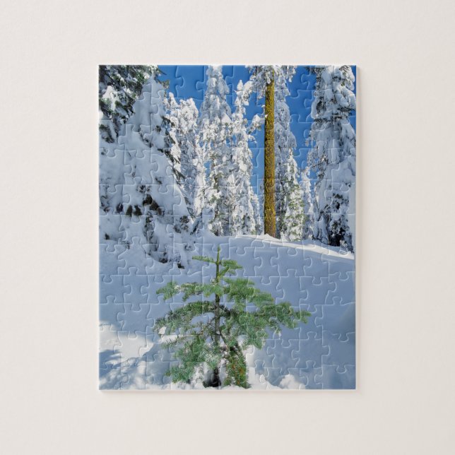Puzzle Bosque cubierto de nieve en Oregón (Vertical)