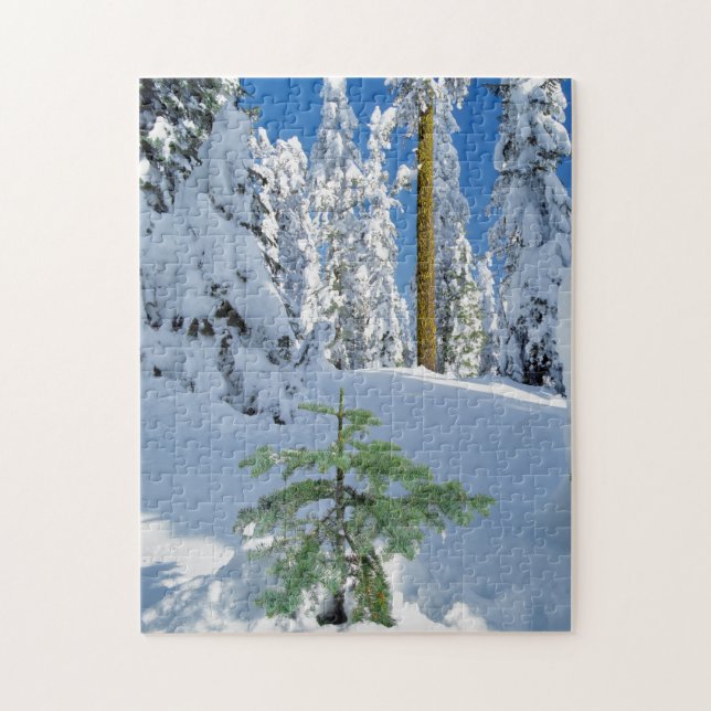 Puzzle Bosque Cubierto de Nieve en Oregon (Vertical)